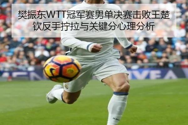 樊振东WTT冠军赛男单决赛击败王楚钦反手拧拉与关键分心理分析