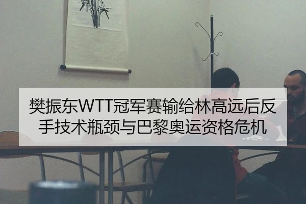 樊振东WTT冠军赛输给林高远后反手技术瓶颈与巴黎奥运资格危机